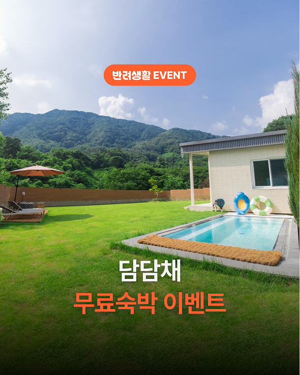 반려생활 ) 가평 신축 독채 애견펜션 담담채 무료숙박 이벤트 