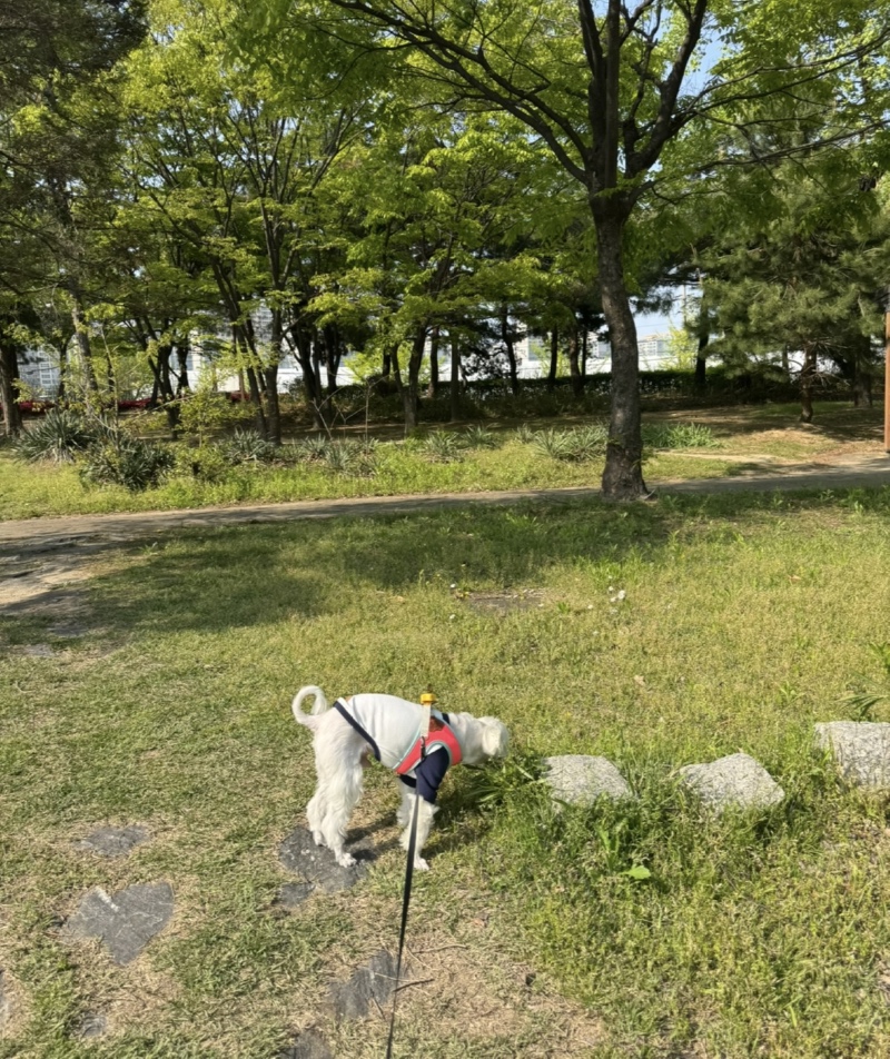 효원공원 월화원 