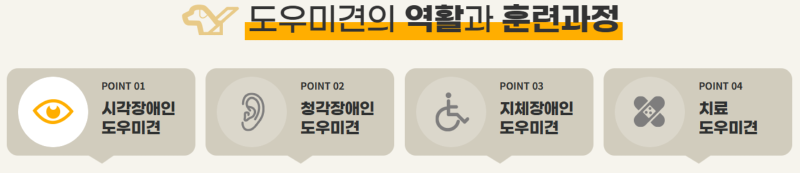 장애인 도우미견의 역할과 훈련 과정 - 장애인 도우미견 시리즈 2탄!