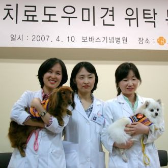 장애인 도우미견의 역할과 훈련 과정 - 장애인 도우미견 시리즈 2탄!