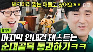 장애인 도우미견의 역할과 훈련 과정 - 장애인 도우미견 시리즈 2탄!