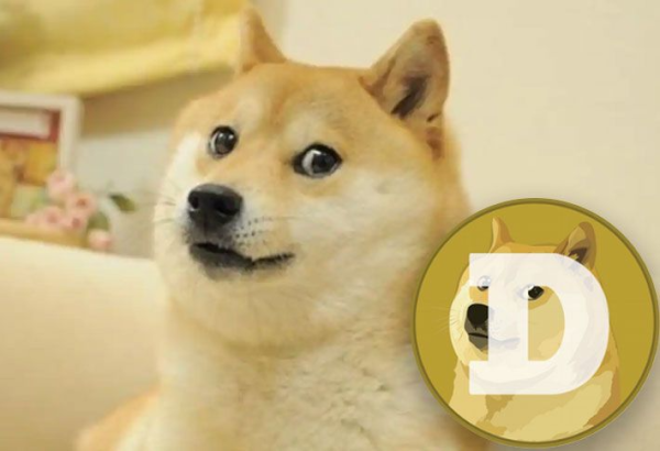 도지(DOGE)코인은 실존하는 시바견에서 생긴 걸 아시나요?