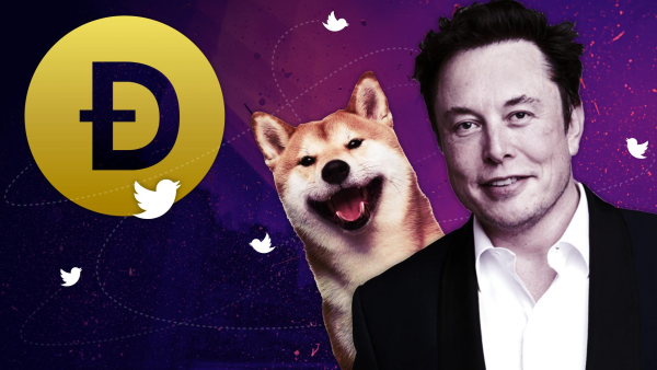 도지(DOGE)코인은 실존하는 시바견에서 생긴 걸 아시나요?