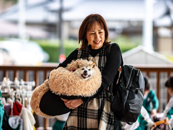 도지(DOGE)코인은 실존하는 시바견에서 생긴 걸 아시나요?
