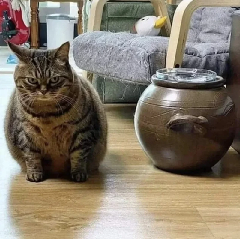 진정한 항아리 몸매