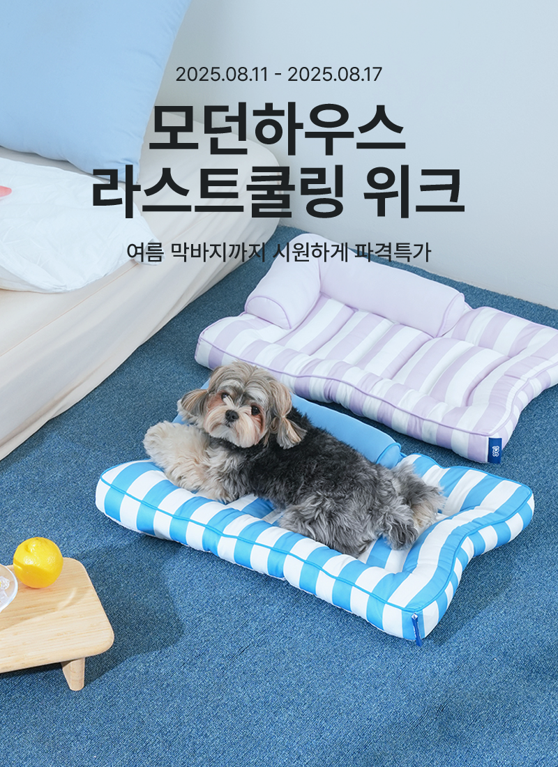 바잇미) 모던하우스 라스트쿨링 위크, 여름 막바지 파격 특가!! (8/11~8/17)