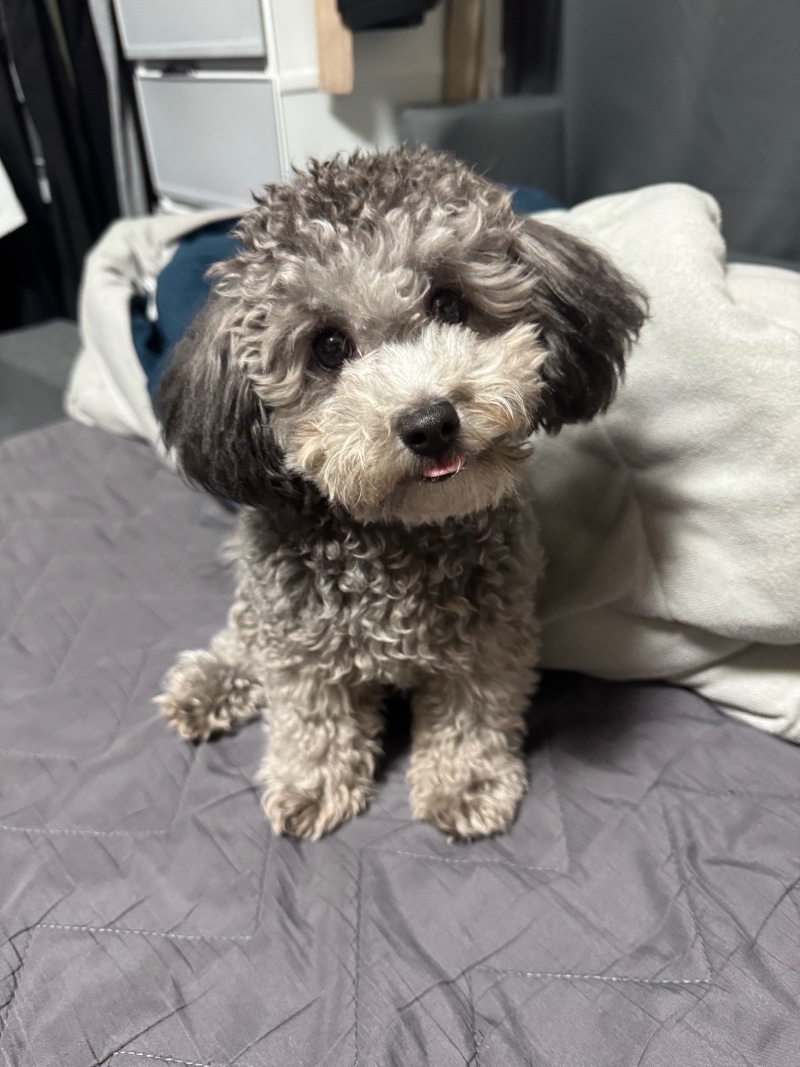 사고뭉치둥이에오💙