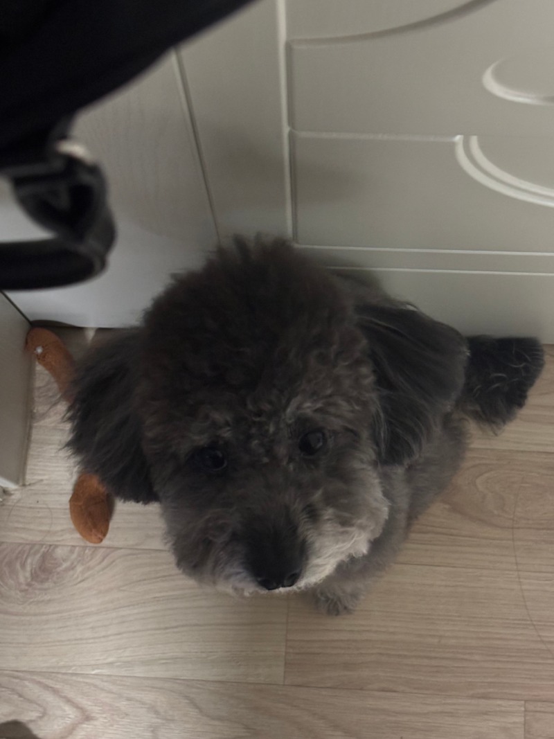 문 열림 기원 1일차..