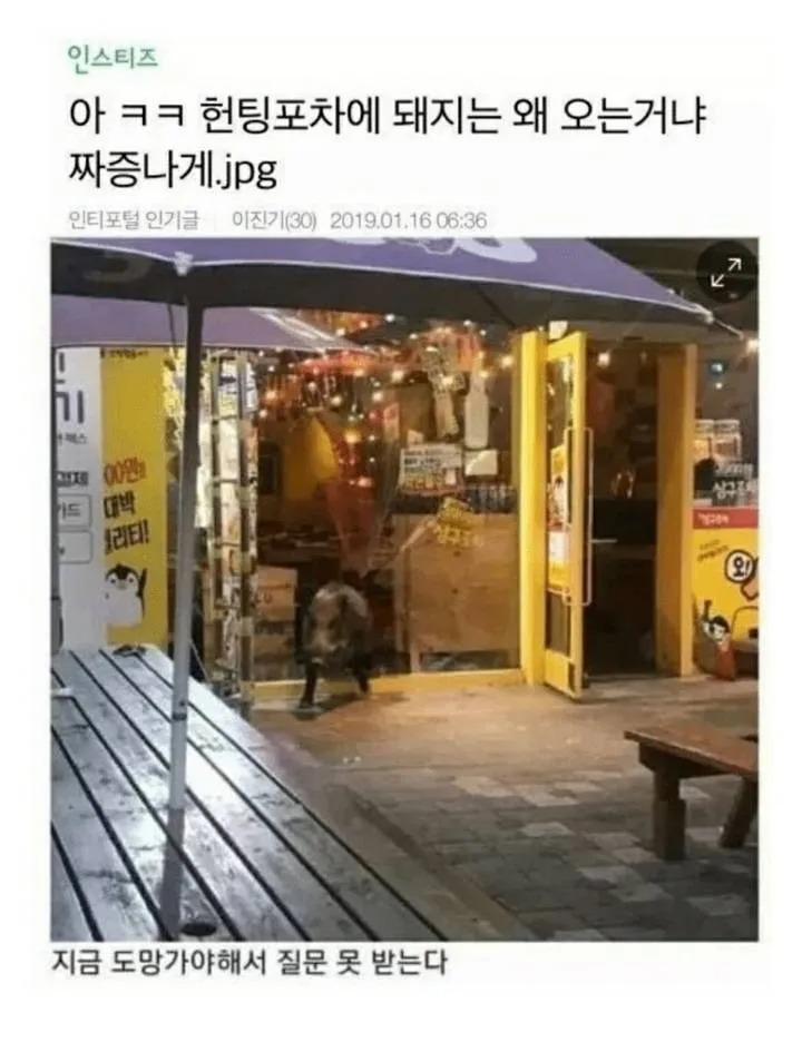 아ㅋㅋ헌팅포차에 돼지는 왜오는거냐