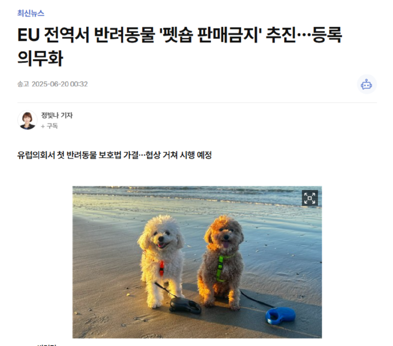 EU 전역서 반려동물 '펫숍 판매금지' 추진…등록 의무화