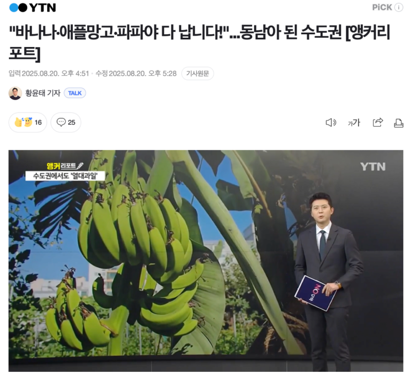 특이점 온 국내 열대과일 재배 근황 