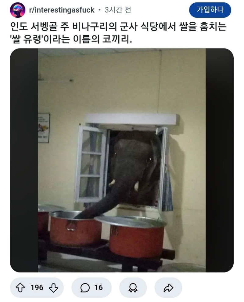  밤마다 짬밥을 훔쳐가는 범인을 잡고보니