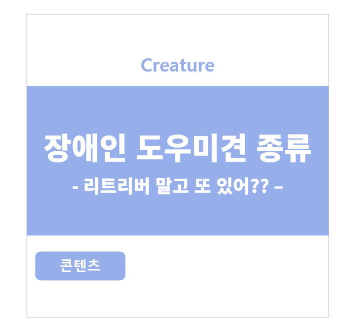 장애인 도우미견의 종류 -리트리버 말고도 장애 보조견이 있다???-
