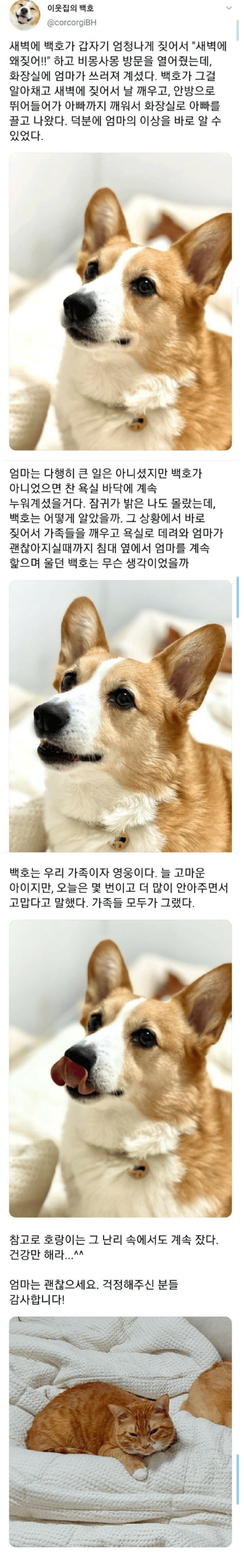 새벽에 갑자기 개가 짖어서 깼더니..jpg