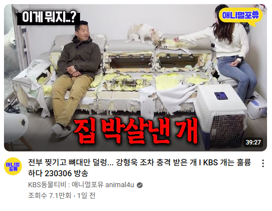 아니 이게 뭔ㅋㅋㅋㅋㅋㅋㅋㅋㅋㅋㅋㅋ 