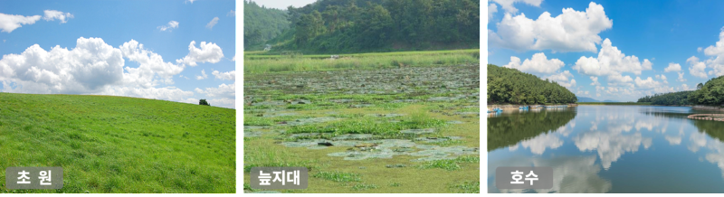자연생태계 - 습지와 늪지대 - 