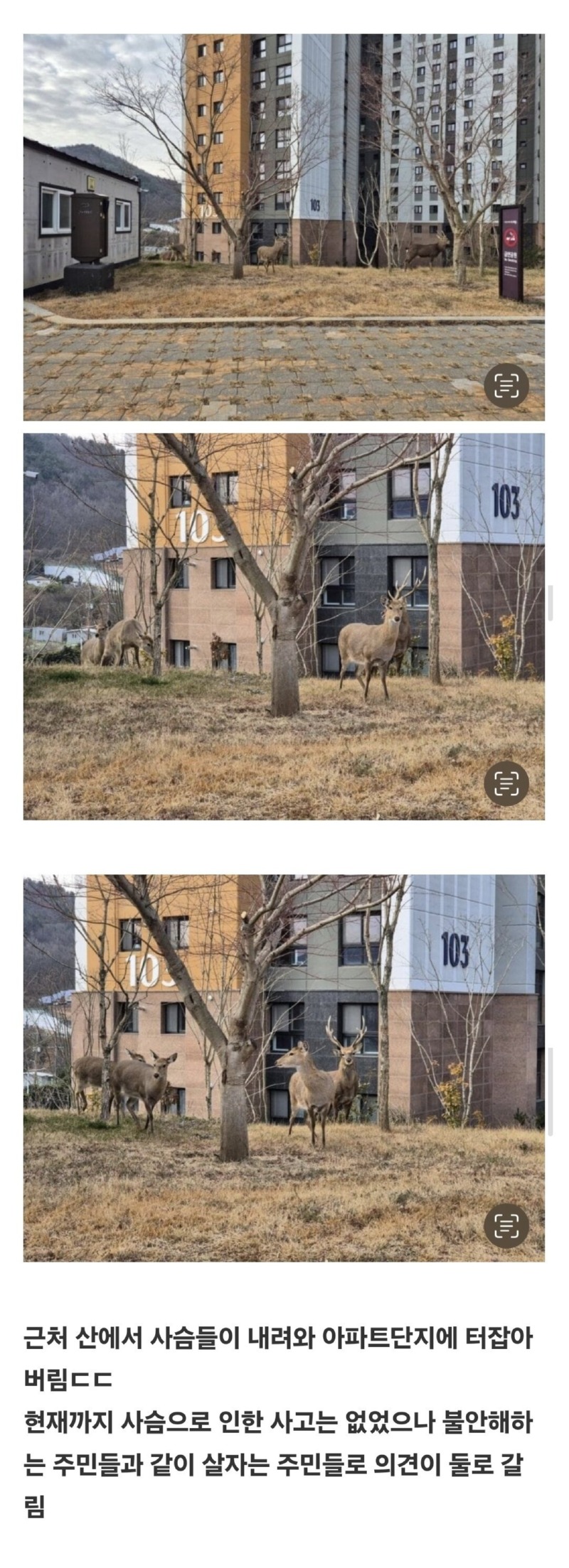 전남 순천의 한 아파트