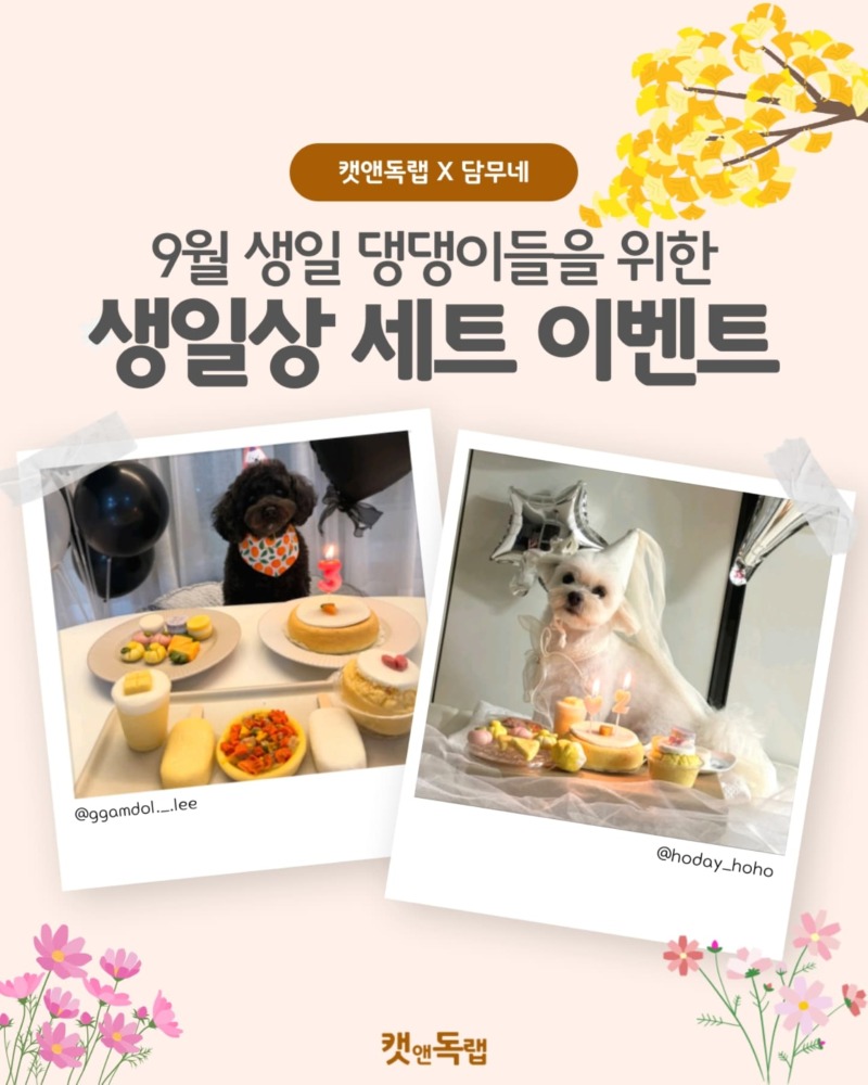 캣앤독랩x담무네 수제간식) 9월 반려견 생일 이벤트 !! (참여기간 ~8/27 까지) 