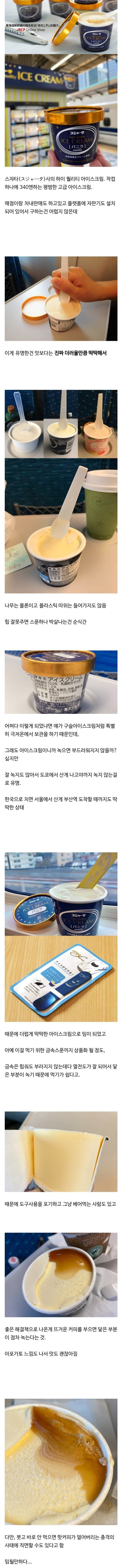 안 녹기로 유명한 일본 신칸센 아이스크림