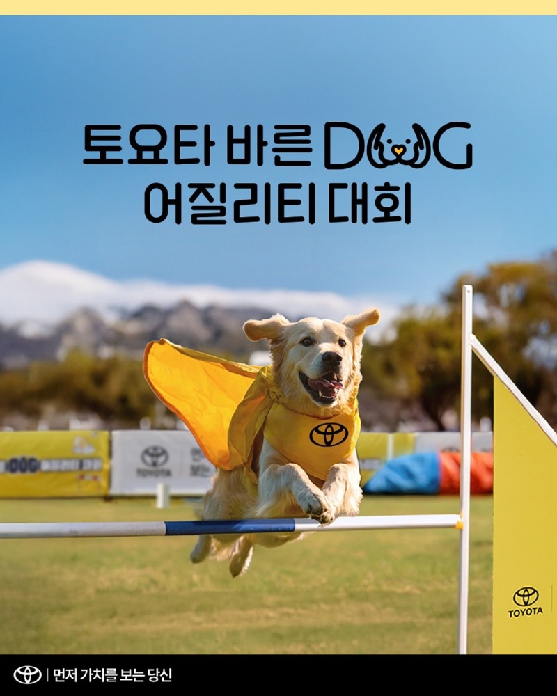 [토요타 바른 DOG 어질리티 대회 참가자 모집. 25.09.07 까지]​ 