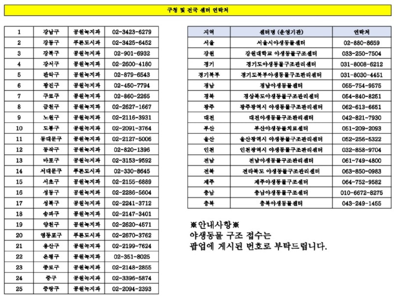 야생동물 구조 시 연락하는 곳 ) + 서울시 야생동물 센터 구조 업무 시간 