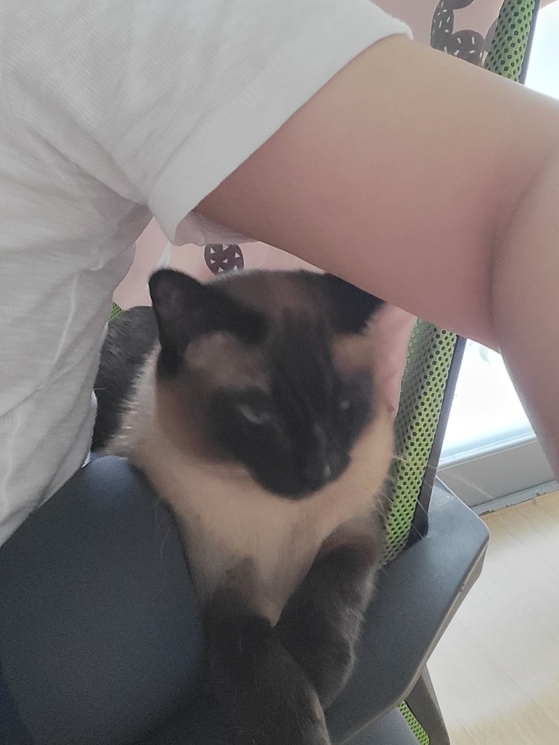 좁은데 굳이 여기에 자리를 잡아야겠니? ㅋㅋ