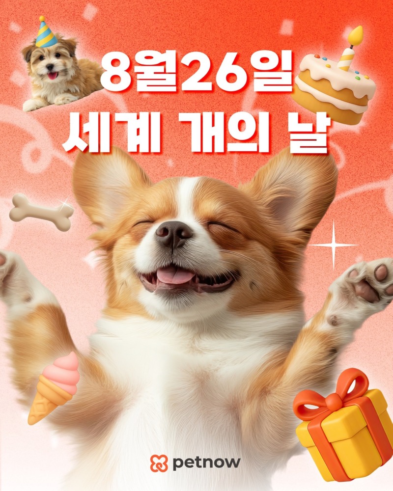 8월 26일, 오늘은 세계 개의 날 