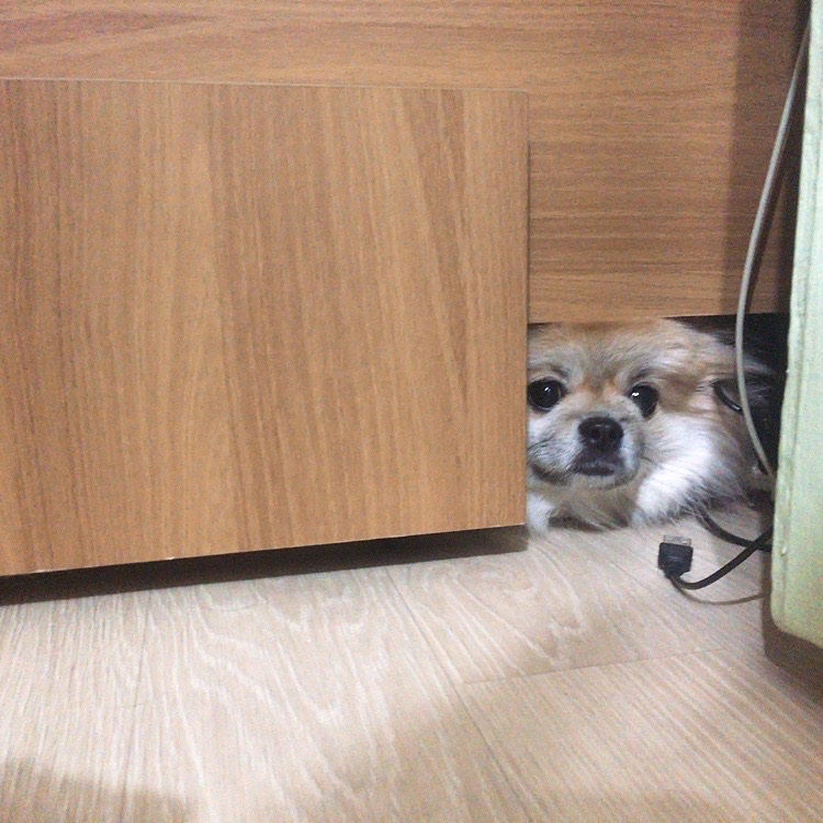 날 잡아봐라~~