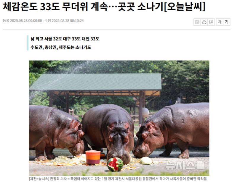 체감온도 33도 무더위 계속…곳곳 소나기[오늘날씨]
