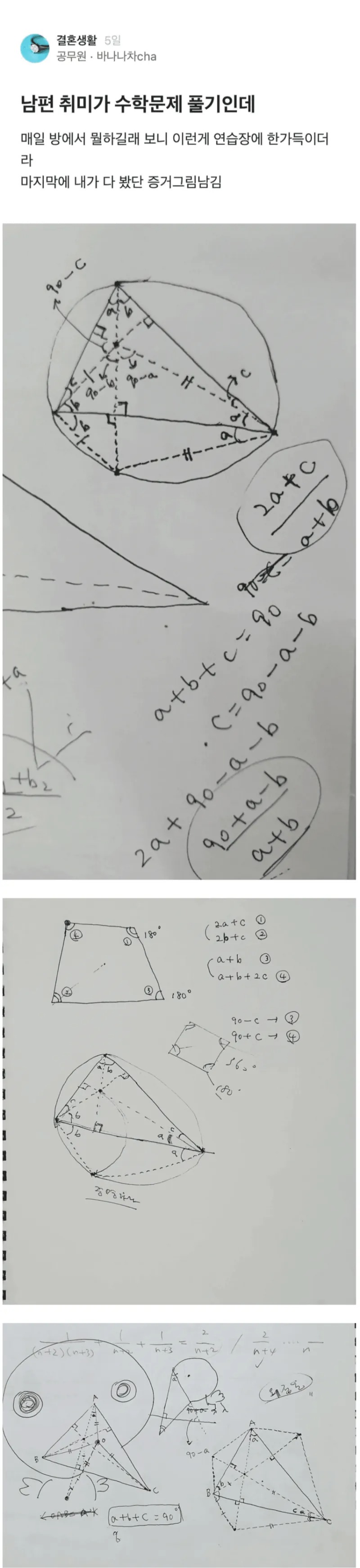 남편 취미가 수학 문제풀기인데