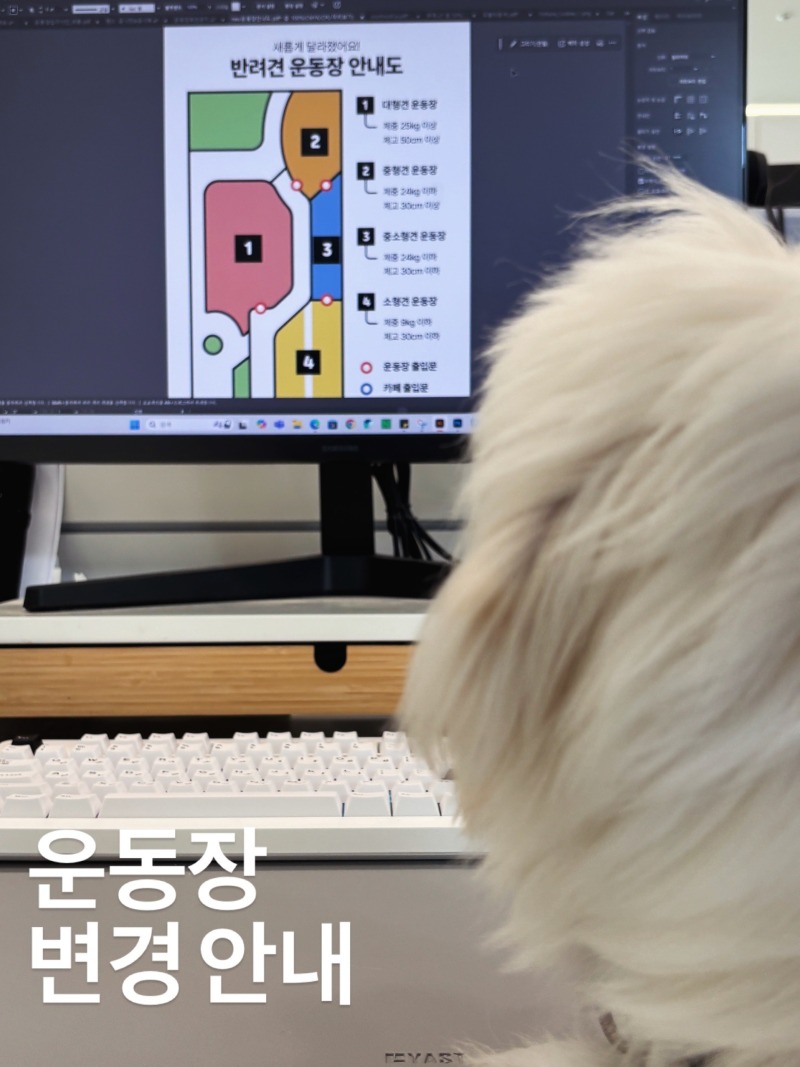 오산 반려동물 테마파크, 운동장 리뉴얼 완료! 