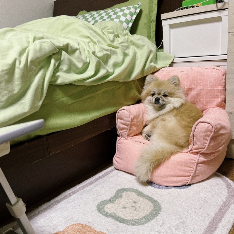 소파감자🥔📺