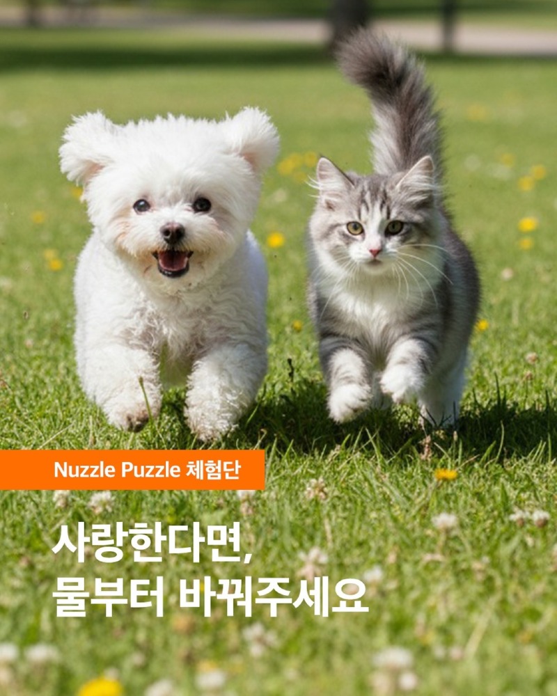 너즐퍼즐 ) 피코펫워터 체험단 모집 (반려동물 전용 물)