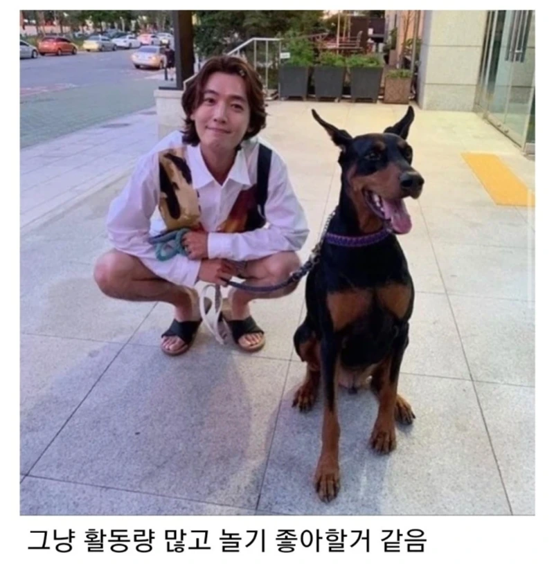 같은 개, 전혀 다른 느낌 