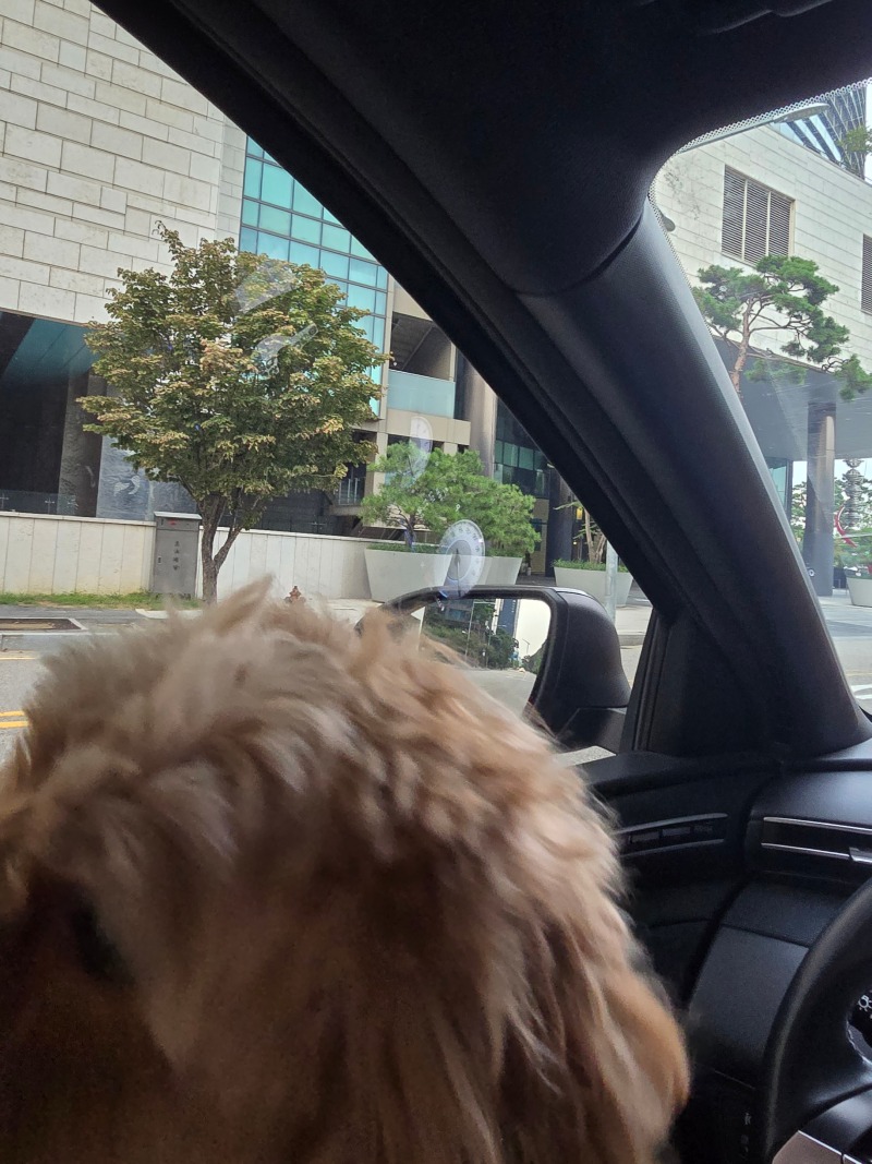 누나 회사앞에서 퇴근 기다리기~~