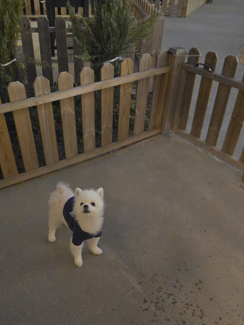 애견동반 셀프 바베큐장 <휴가>