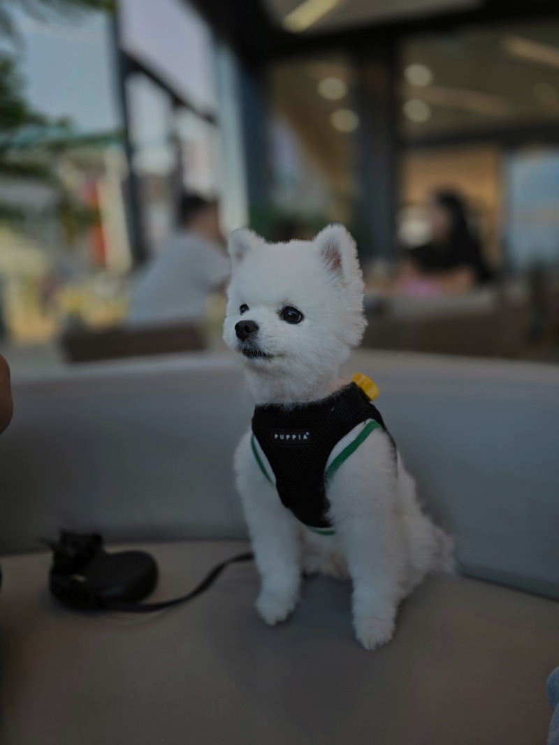 삽교호 카페 <베리>