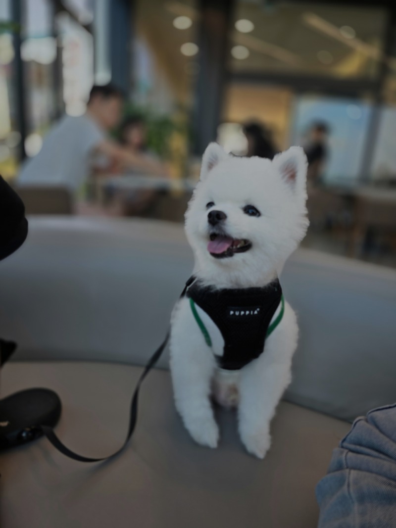 삽교호 카페 <베리>
