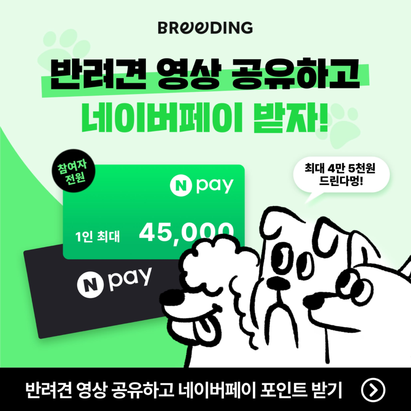 브리딩) 반려견 문제행동 영상 공유하고 네이버 페이 받자!! (최대 4만5천)