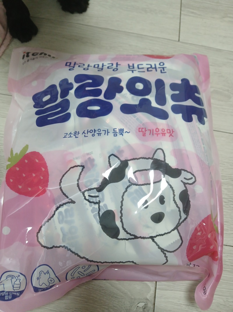 잇츄 강아지 말랑잇츄 부드러운 덴탈껌
