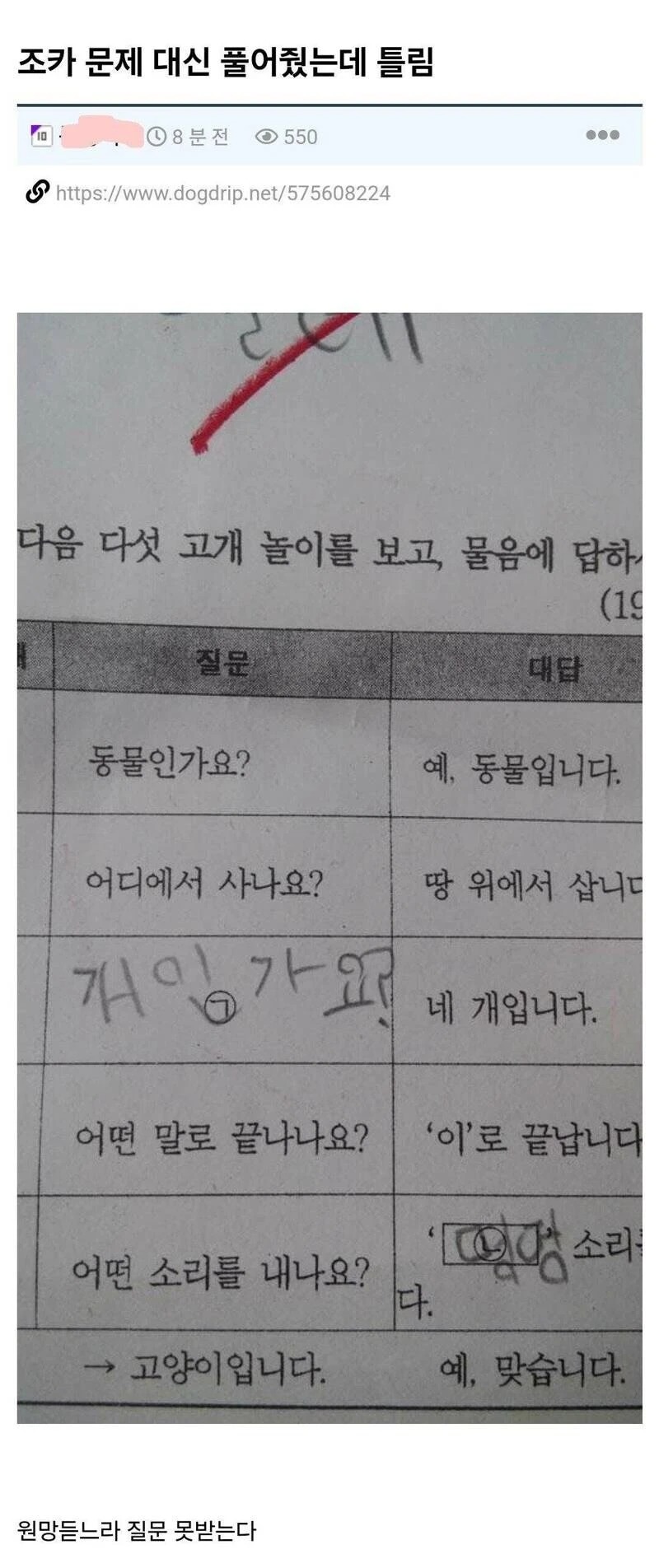 조카 대신 문제 풀어줬는데 틀림