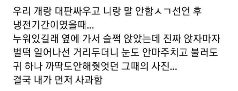 강아지들도 삐지나요? 