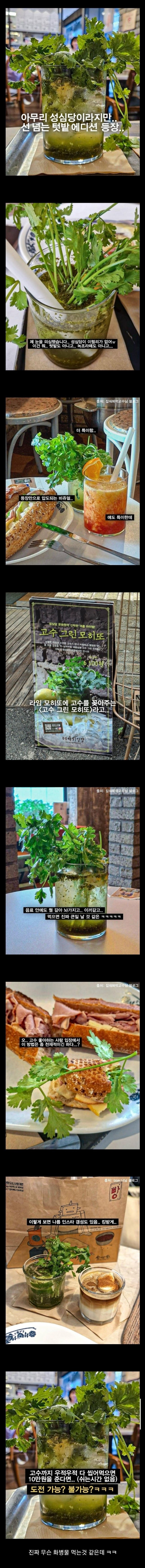 성심당의 선 넘는 텃밭 에디션 음료