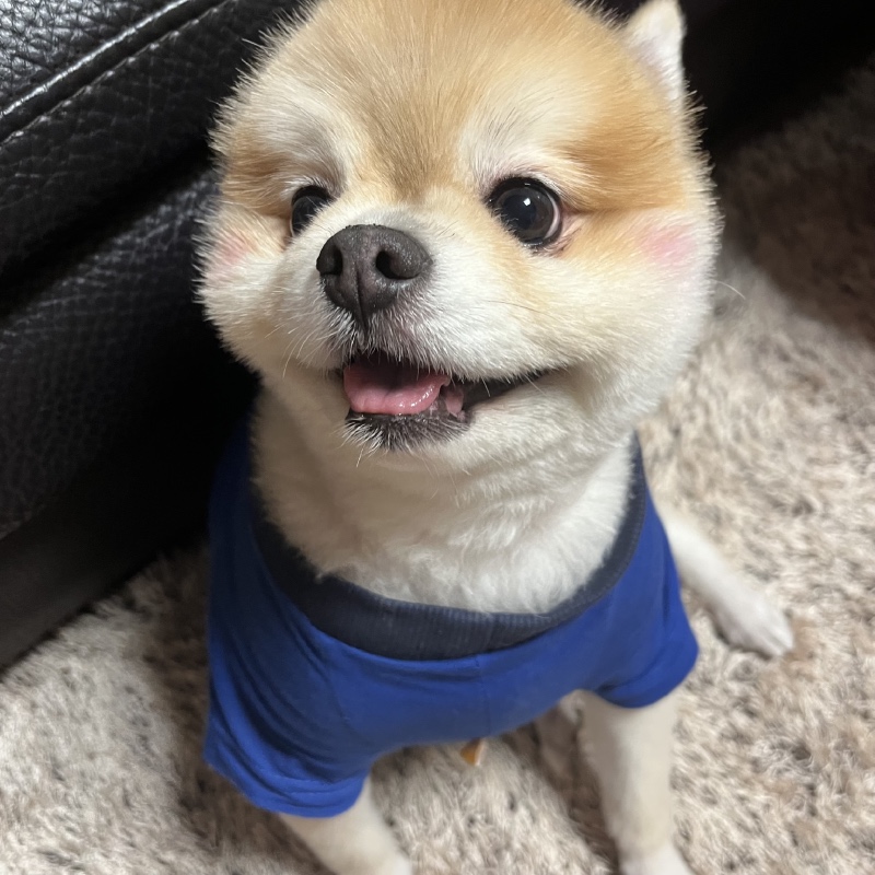 에뿌죠