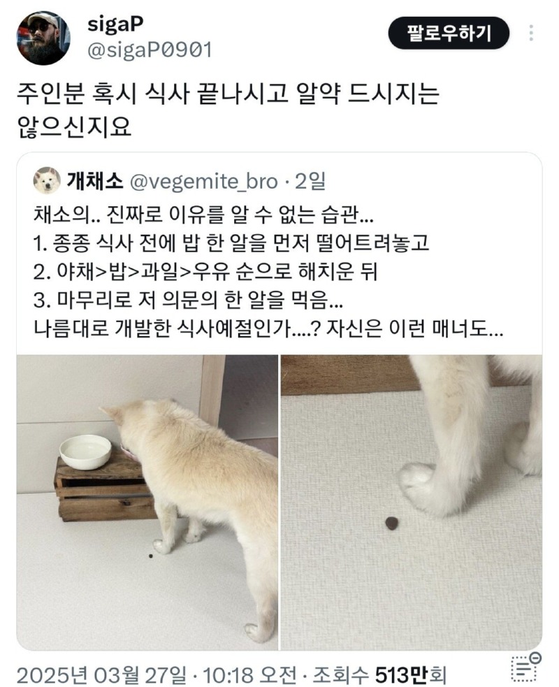 개가 밥을 이상하게 먹어요.jpg