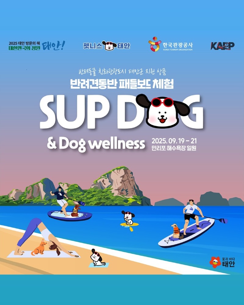 펫니스 태안, 반려견 동반 패들보드 체험! (9.19금~9.21일)