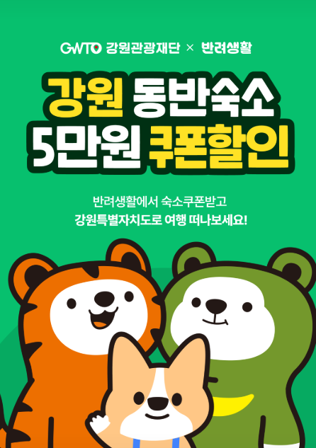 반려생활 x 강원관광재단) 강원도 애견동반 숙소 5만원 할인쿠폰! 9/15~