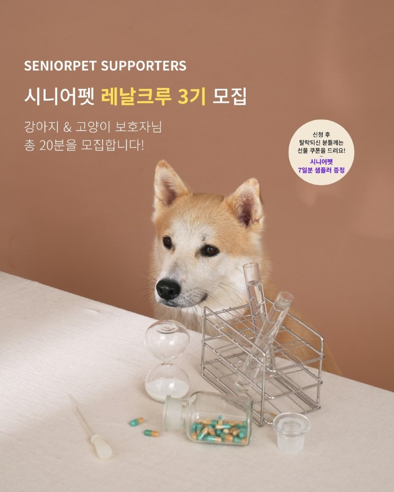 시니어펫 레날크루 3기 테스터 모집 20명 (강아지 10, 고양이 10)