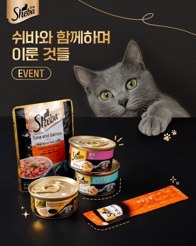 쉬바) 고양이와 함께 이룬것들을 공유해주세요! (~9.24 까지)