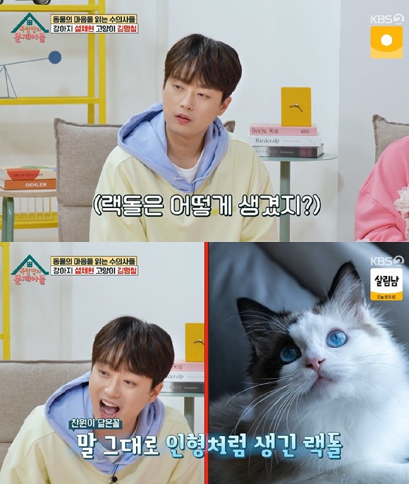 이찬원을 닮은 동물 